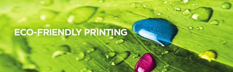 Eco-Friendly Printing Marketing Strategies for Small Businesses