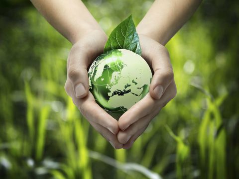 Eco-Friendly Printing A New Marketing Strategy for Business