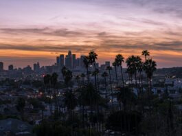 Small Business Opportunities in Los Angeles