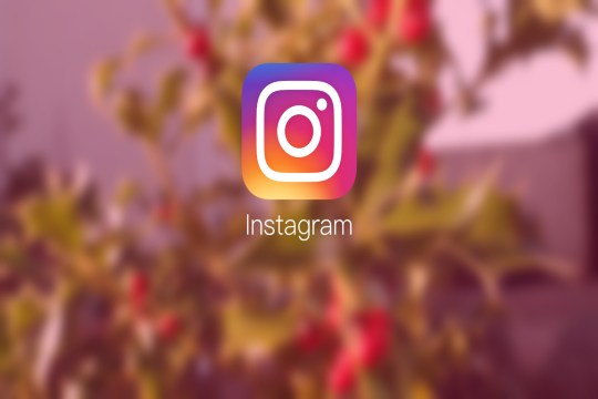 Some of the Best Instagram Feed WordPress Plugins of 2018