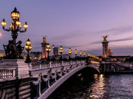 Small Business Ideas in France