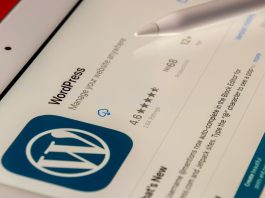 10 WordPress Themes For Programmers 2024 WordPress Themes for Programmers to Showcase Portfolio