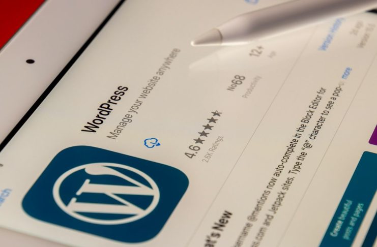 WordPress Themes for Programmers to Showcase Portfolio