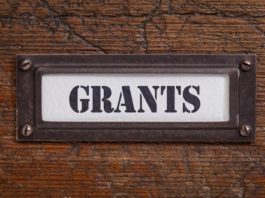 How to Write a Successful Grant Proposal for Small Business