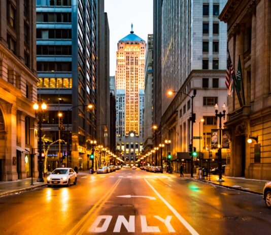 10 Profitable Small Business Ideas in Chicago with Low Investment Profitable Small business Ideas in Chicago