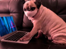 COVID-19: Top 5 Cyber Security Tips For Working From Home COVID-19 Top 5 Cyber Security Tips for working from home 3