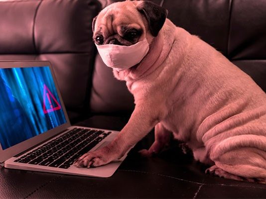 COVID-19: Top 5 Cyber Security Tips For Working From Home COVID-19 Top 5 Cyber Security Tips for working from home 3