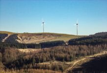 Why Businesses Should Use Renewables Why Businesses Should Use Renewables