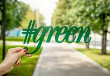 The Circular Economy and Opportunities For Small Businesses Opportunities For Small Businesses