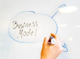 Here Step-By-Step Guide on Choosing Startup Model