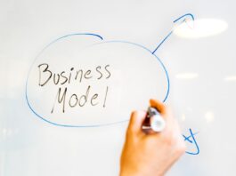 Here’s Step-By-Step Guide on Choosing Business Model Here Step-By-Step Guide on Choosing Startup Model