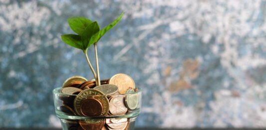 6 Brilliant Ways To Save Money While Living Independently Brilliant Ways to Save Money While Living Independently