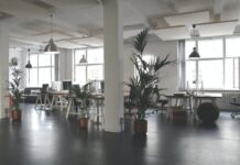 How To Optimize Office Space? An open office layout with lots of natural light and open space, an example of how to optimize office space.