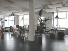 An open office layout with lots of natural light and open space, an example of how to optimize office space.
