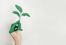 7 Ways to Make Your Small Business More Sustainable Person holding a green leaf with a hand that’s painted green make your small business more sustainable