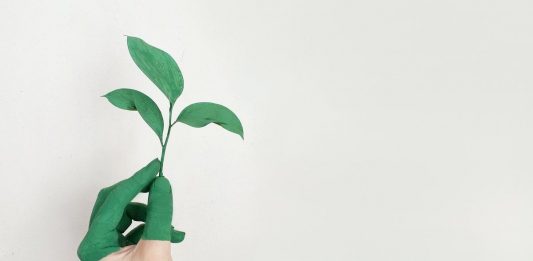 7 Ways to Make Your Small Business More Sustainable Person holding a green leaf with a hand that’s painted green make your small business more sustainable