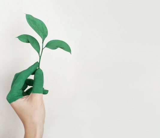 7 Ways to Make Your Small Business More Sustainable Person holding a green leaf with a hand that’s painted green make your small business more sustainable