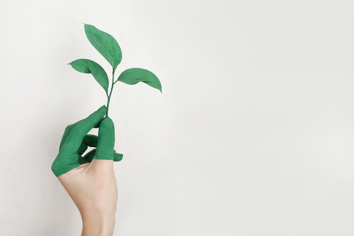 Person holding a green leaf with a hand that’s painted green make your small business more sustainable