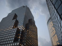 Delaware Corp vs LLC: Which is The Best For Your Business? Delaware Corp vs LLC