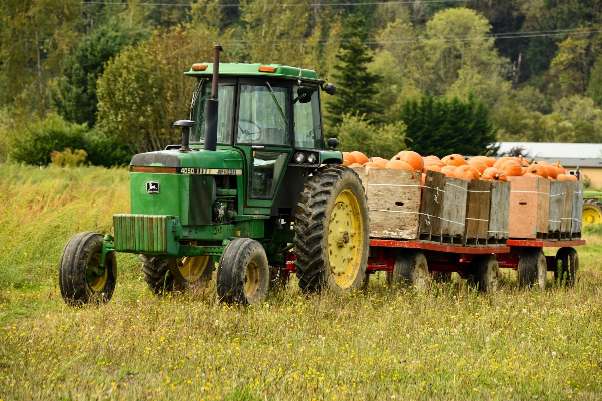 Green tractor on a field pulling a car filled with pumpkins