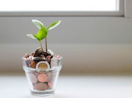 Money Saving Strategies for Small Business Owners