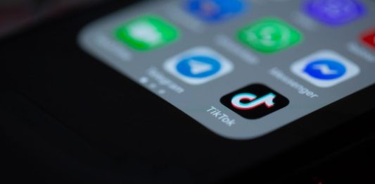 TikTok Selling: 5 New Business Ideas For 2024 TikTok Selling New Business Ideas