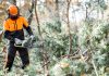 Key Benefits and Applications of Hydraulic Chainsaws in Professional Landscaping Key Benefits and Applications of Hydraulic Chainsaws in Professional Landscaping