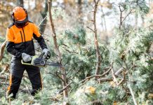 Key Benefits and Applications of Hydraulic Chainsaws in Professional Landscaping Key Benefits and Applications of Hydraulic Chainsaws in Professional Landscaping