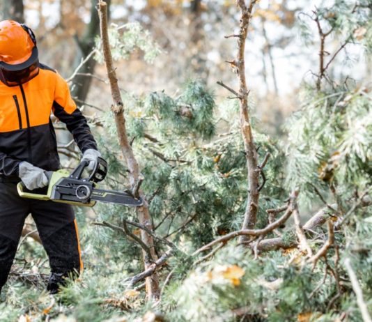 Key Benefits and Applications of Hydraulic Chainsaws in Professional Landscaping Key Benefits and Applications of Hydraulic Chainsaws in Professional Landscaping