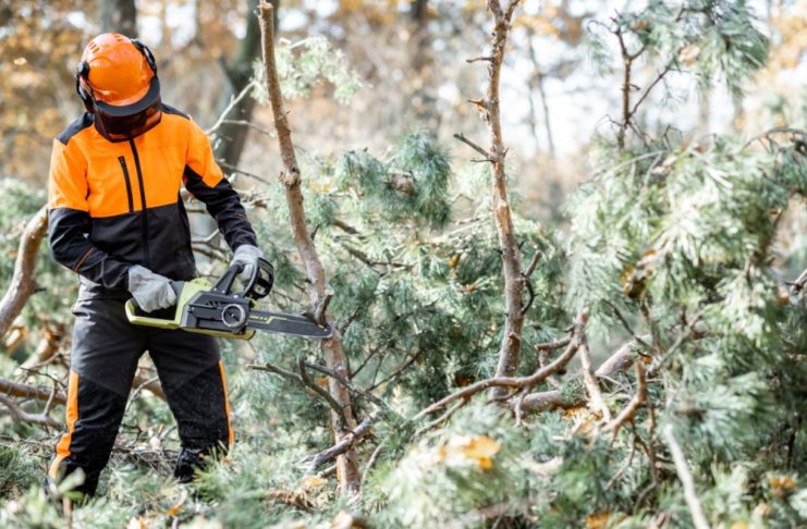 Key Benefits and Applications of Hydraulic Chainsaws in Professional Landscaping